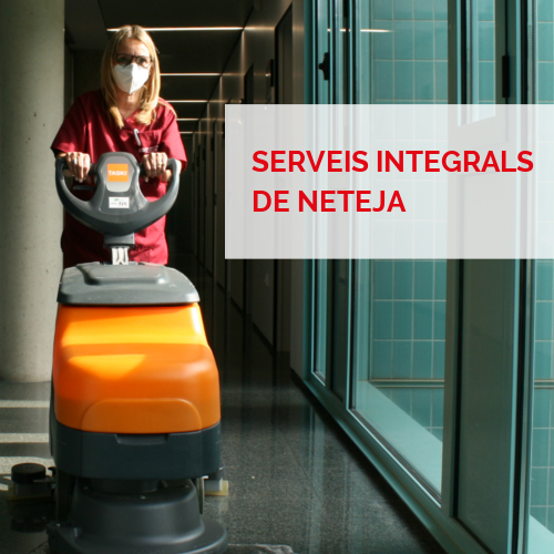 Serveis integrals - Neteja