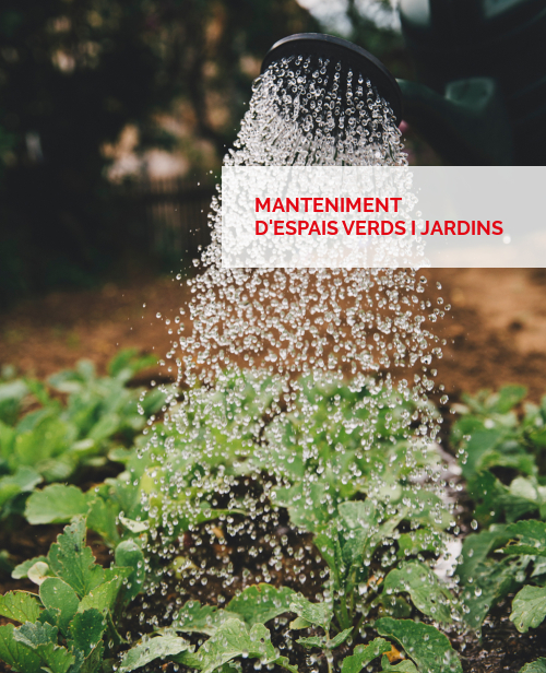 Jardineria - manteniment d'espais verds i jardins