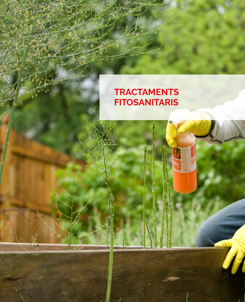 Jardineria - tractaments fitosanitaris