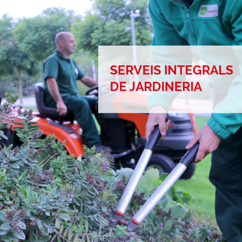 Serveis integrals - Jardineria