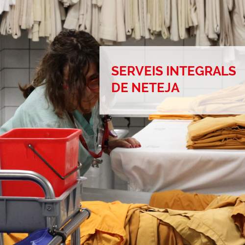 Serveis integrals - Neteja