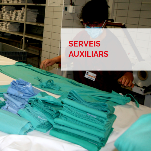 Serveis integrals - Serveis auxiliars